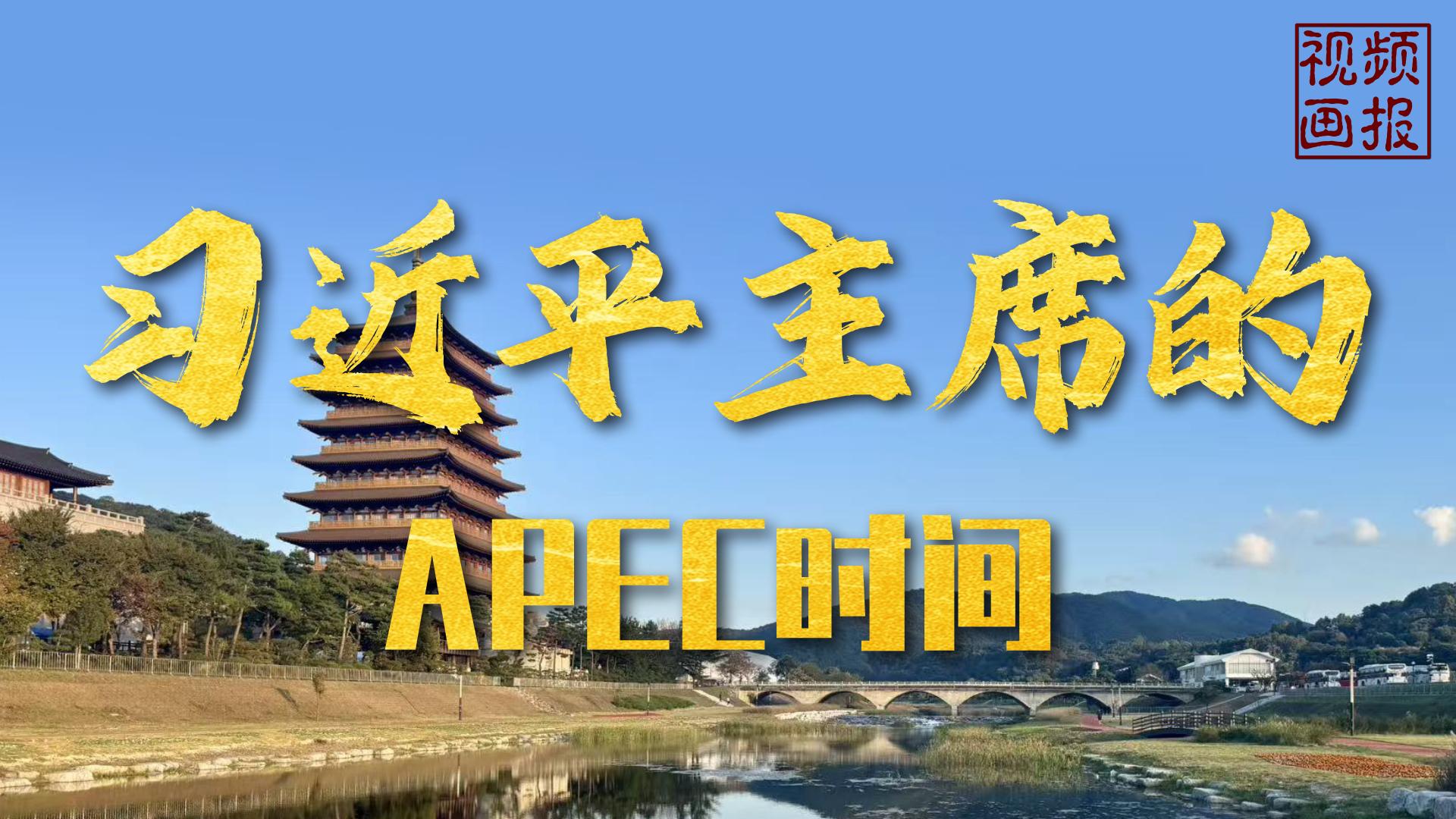 視頻畫報(bào)｜習(xí)近平主席的APEC時(shí)間